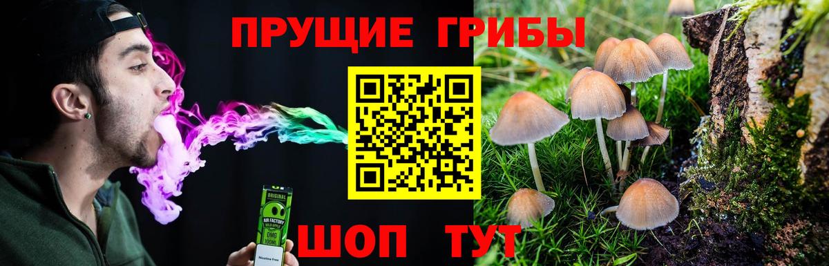 Псилоцибиновые грибы Magic Shrooms Чита
